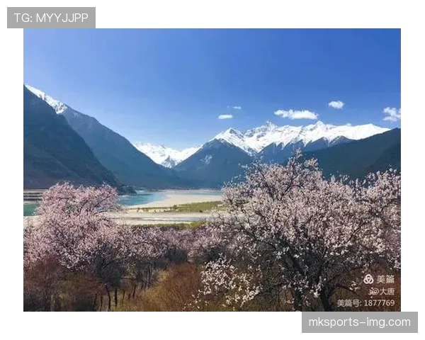 巴洛特利和邻居大妈一起买菜的画面，反差感强得像在刷明星八卦