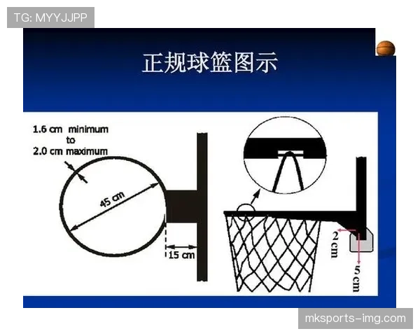篮球比赛视频回放判罚规则应用场景与争议解读